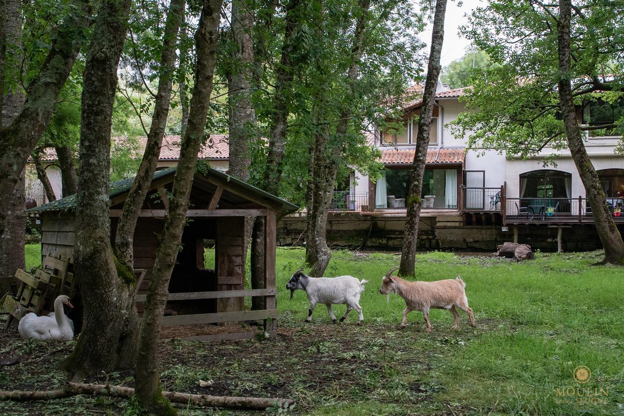 Moulin Du Val De Seugne Hotel Mosnac  Ngoại thất bức ảnh